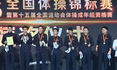 九游APP下载:江苏队豪取体操全锦赛男团六连冠